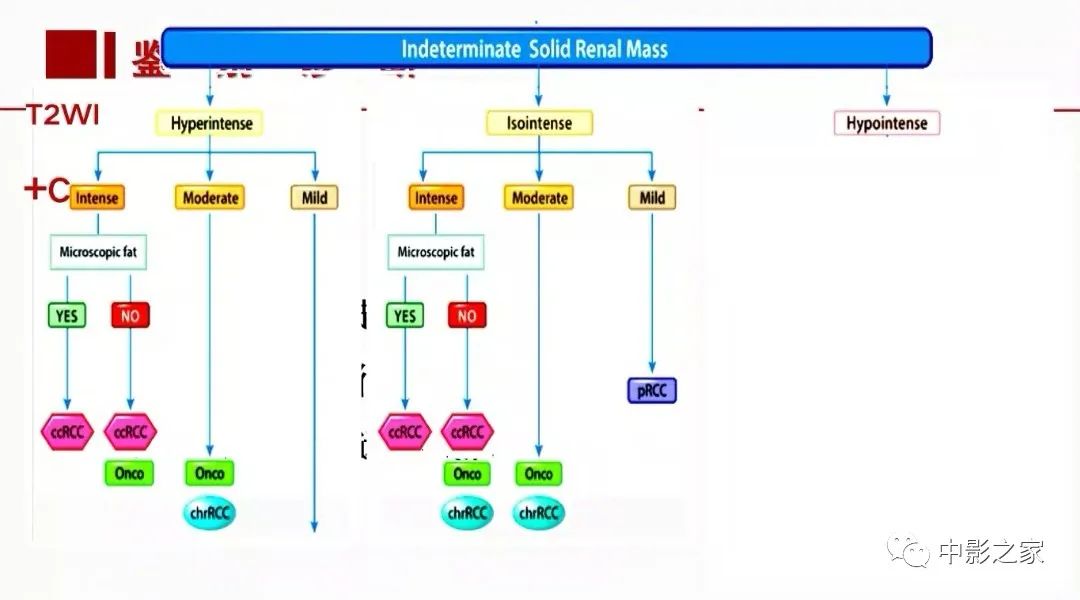 【PPT】肾嫌色细胞癌影像诊断、鉴别、分级与预后评估-44