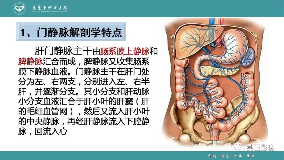 【PPT】1例肠缺血坏死伴门静脉积气的CT诊断-21