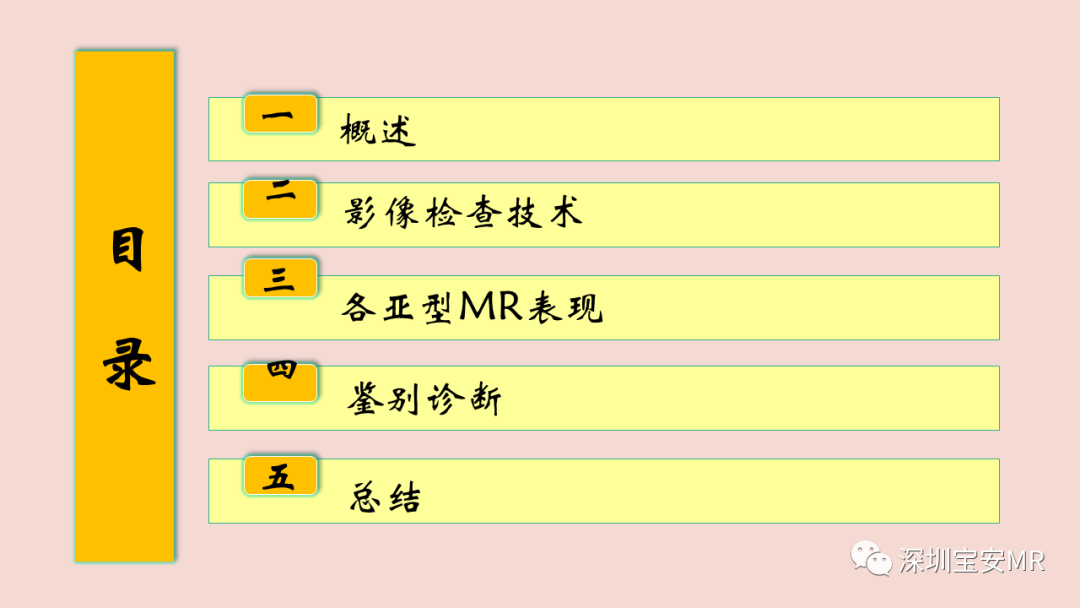 【PPT】卵巢交界性上皮性肿瘤MRI与病理对照-2