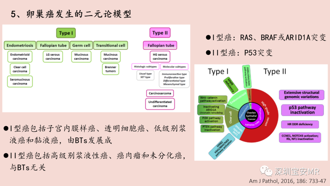 【PPT】卵巢交界性上皮性肿瘤MRI与病理对照-6