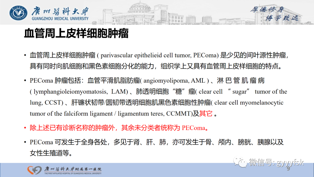 【PPT】肾少见肿瘤影像诊断的文献汇报-9