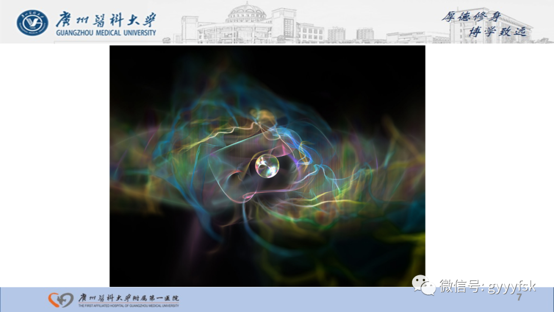 【PPT】肾少见肿瘤影像诊断的文献汇报-7