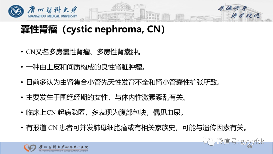 【PPT】肾少见肿瘤影像诊断的文献汇报-36