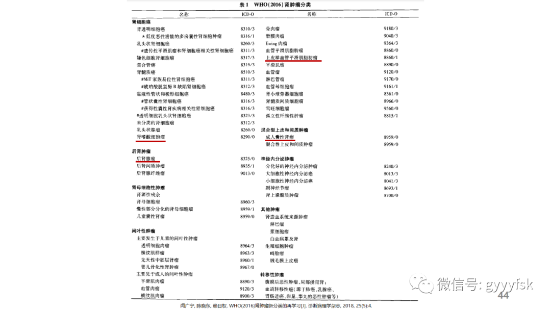 【PPT】肾少见肿瘤影像诊断的文献汇报-44