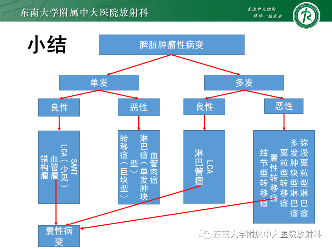 【PPT】脾脏硬化性血管瘤样结节性转化-38