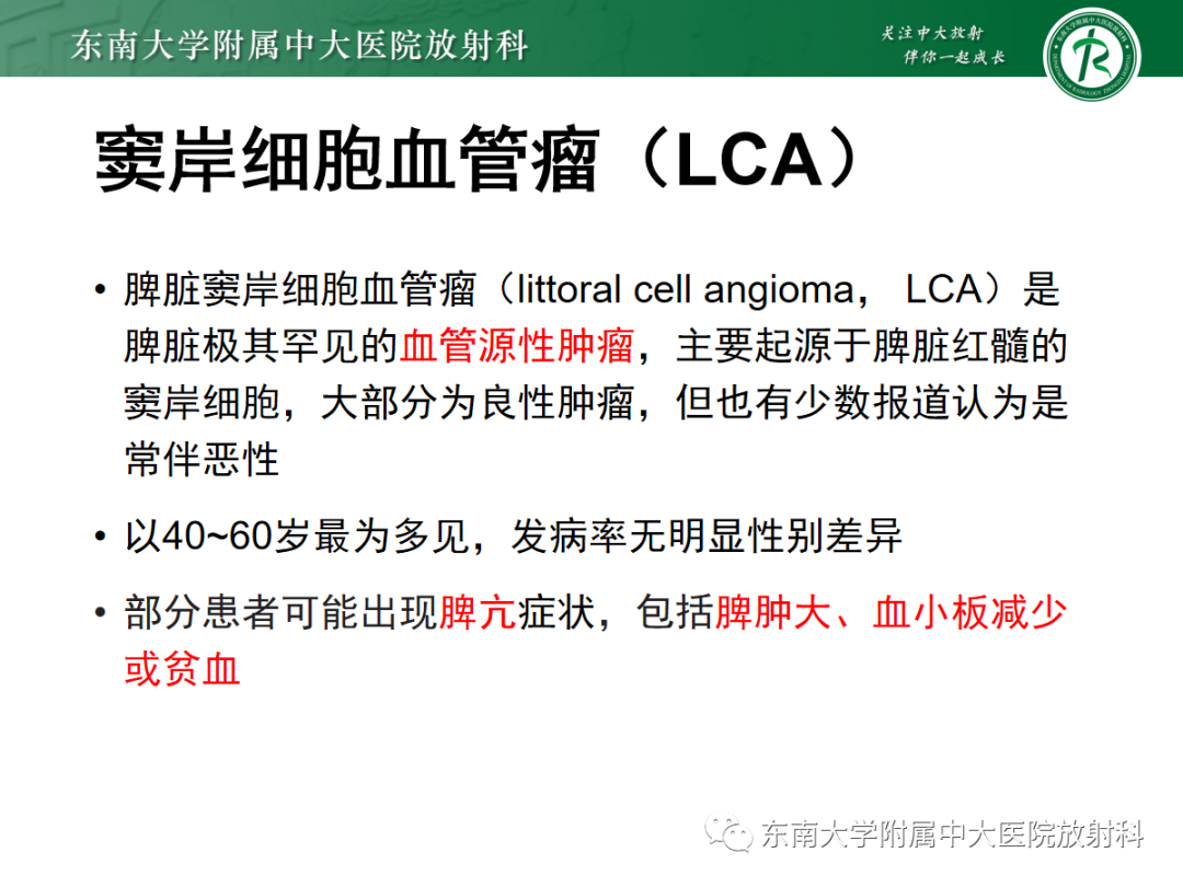 【PPT】脾脏硬化性血管瘤样结节性转化-21
