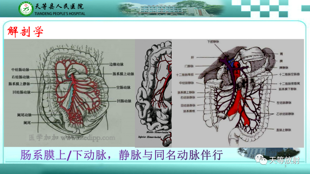 【PPT】缺血性肠病的影像学表现-2