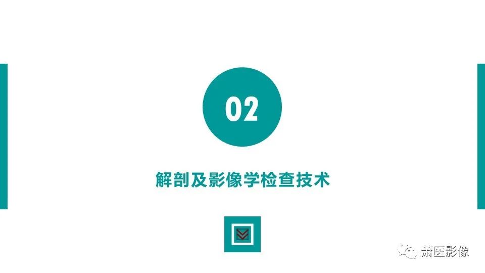 【PPT】肛管及肛周区域病变MRI影像特征-8