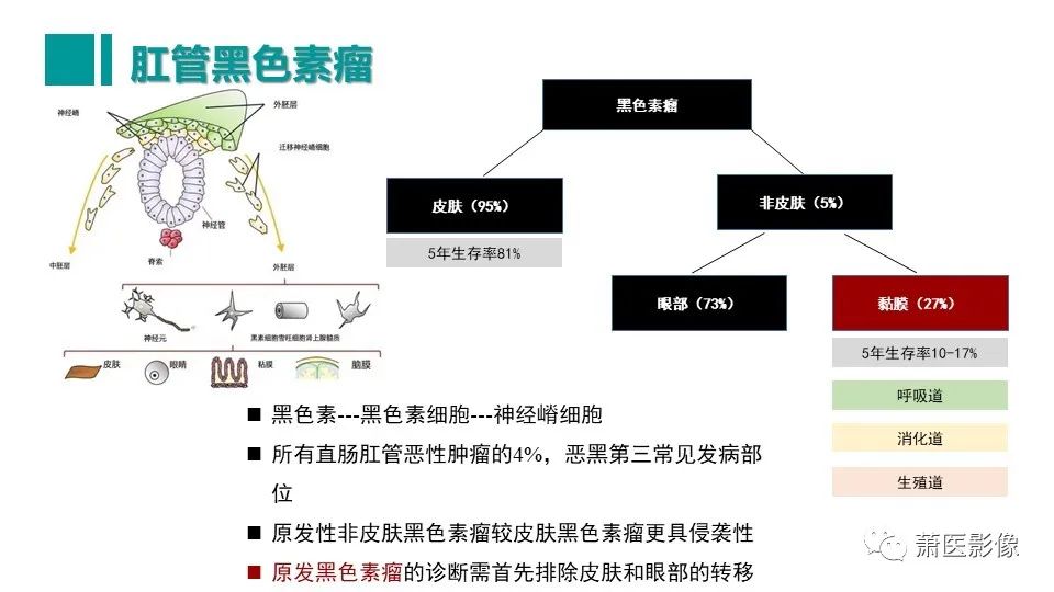 【PPT】肛管及肛周区域病变MRI影像特征-41