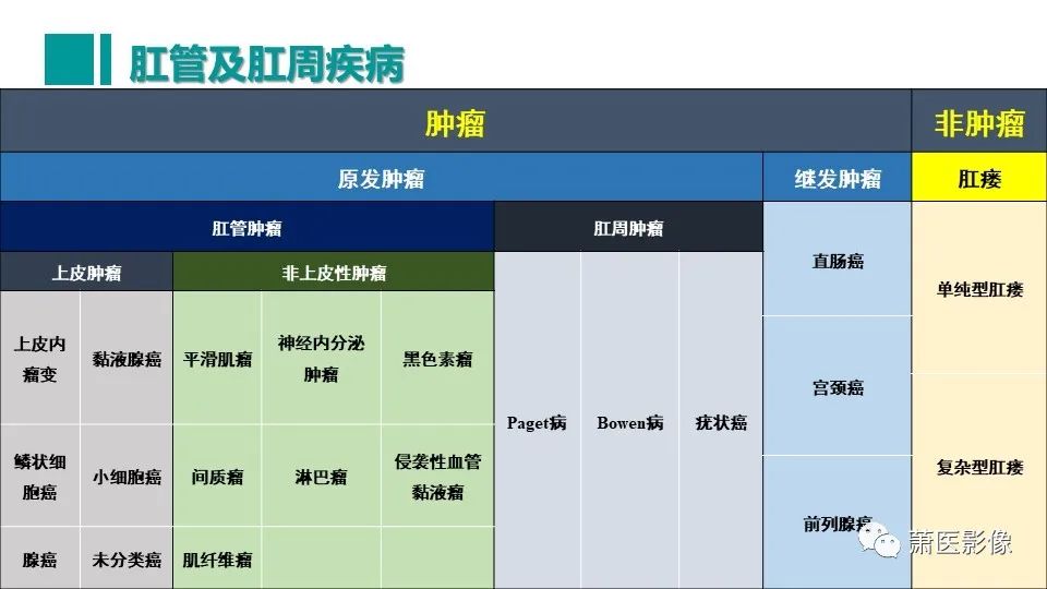 【PPT】肛管及肛周区域病变MRI影像特征-6