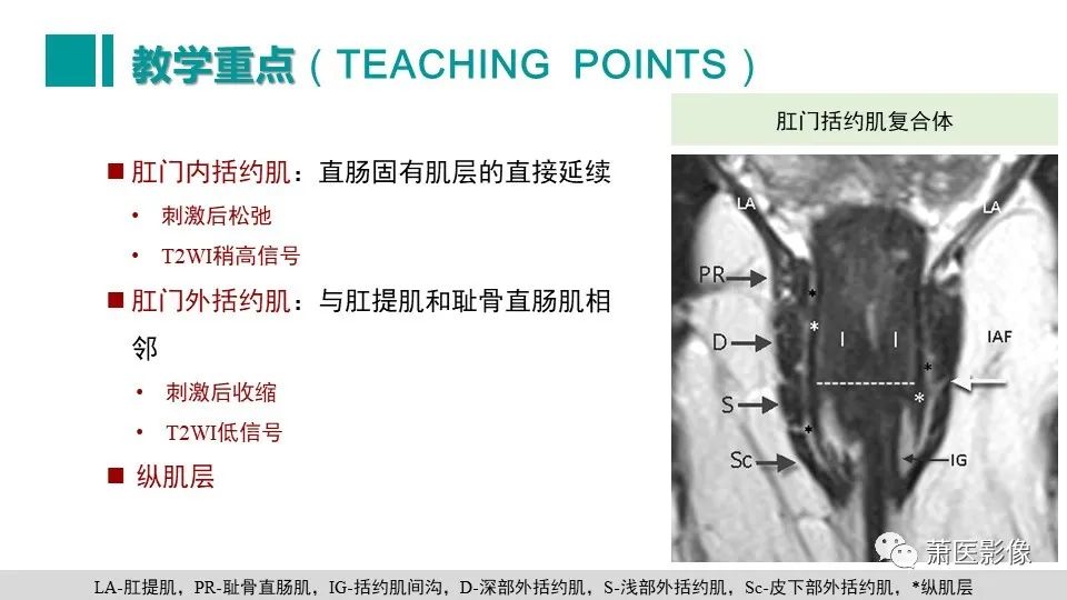 【PPT】肛管及肛周区域病变MRI影像特征-51