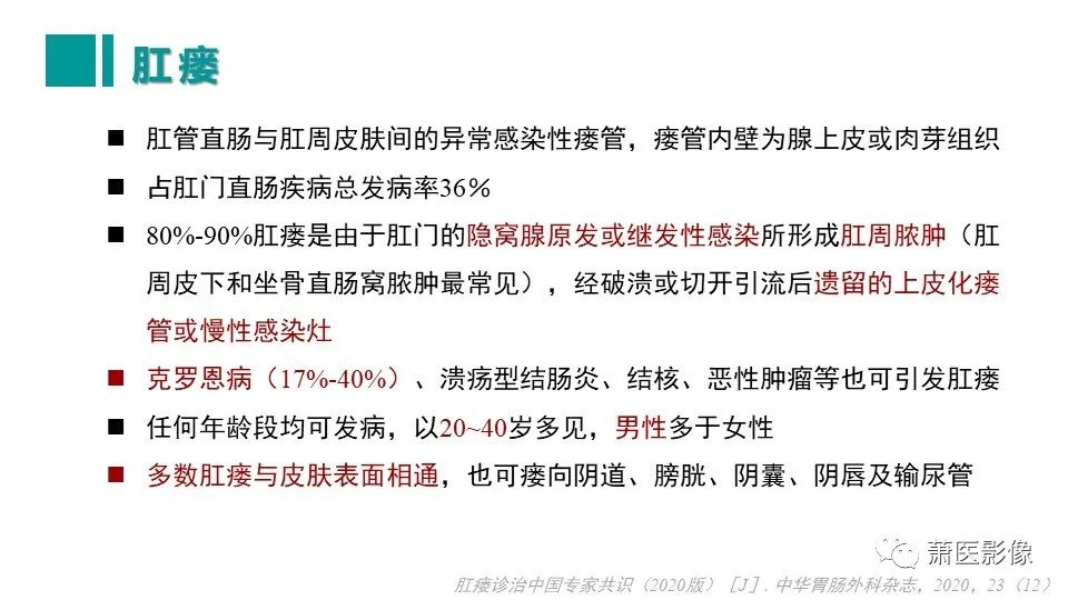 【PPT】肛管及肛周区域病变MRI影像特征-19