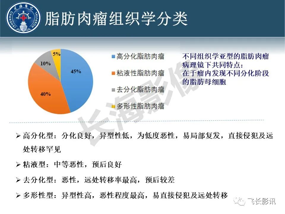 【病例】腹膜后去分化脂肪肉瘤 VS 高分化脂肪肉瘤-15