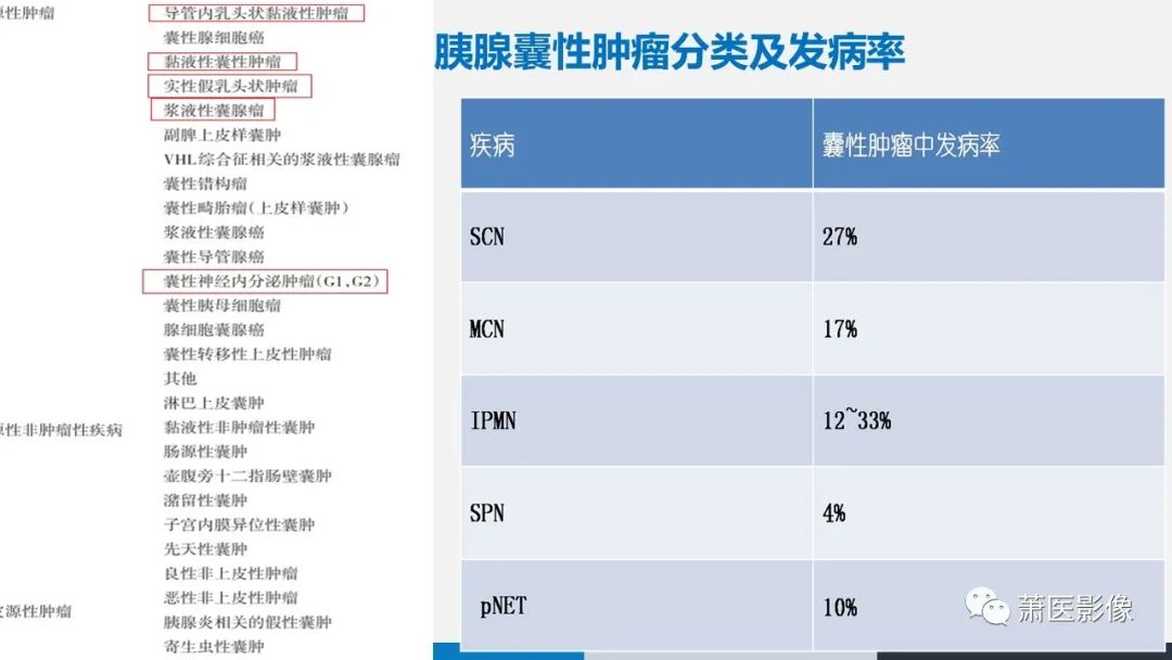 【PPT】常见胰腺囊性肿瘤-2