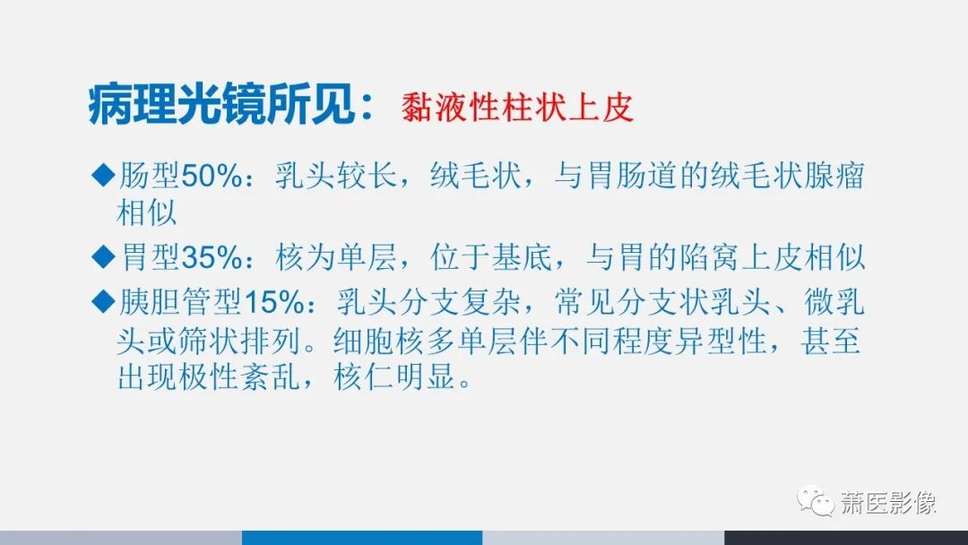 【PPT】常见胰腺囊性肿瘤-15