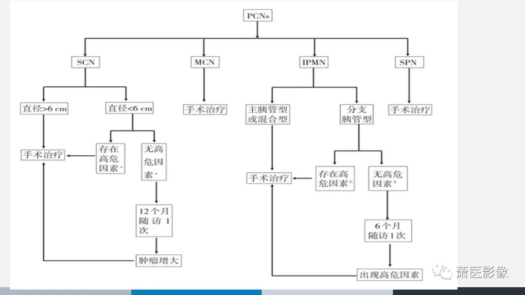 【PPT】常见胰腺囊性肿瘤-60