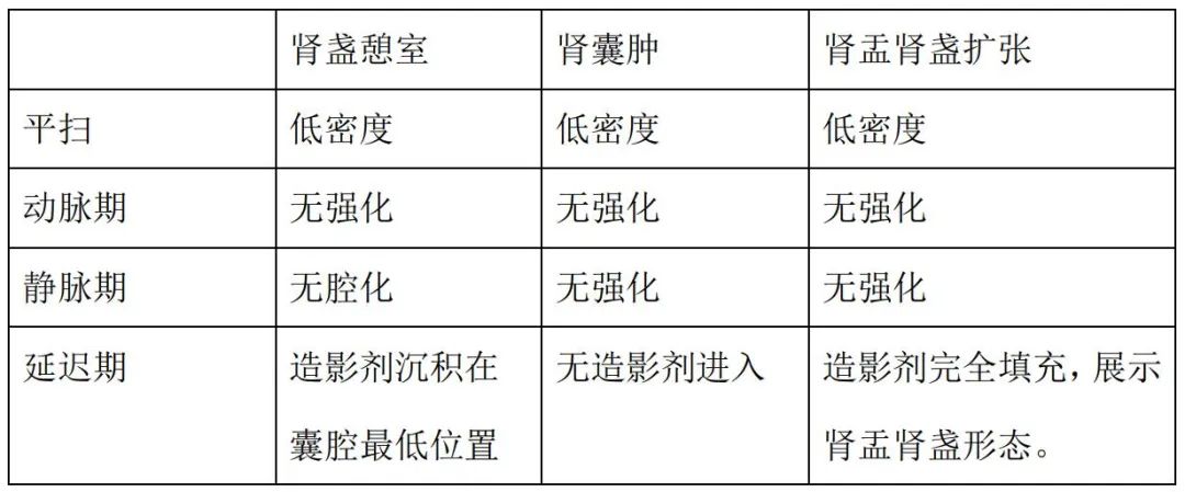 【病例】容易误诊为肾囊肿的肾盏憩室1例CT影像-16