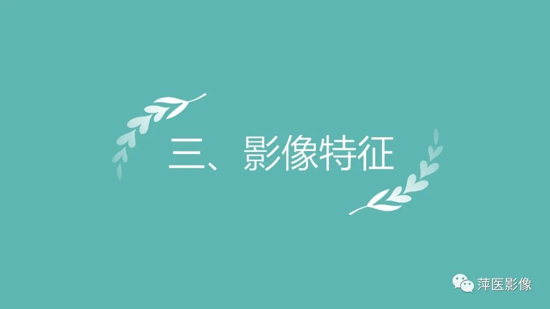 【PPT】肝脏局灶性结节性增生(FNH)-12