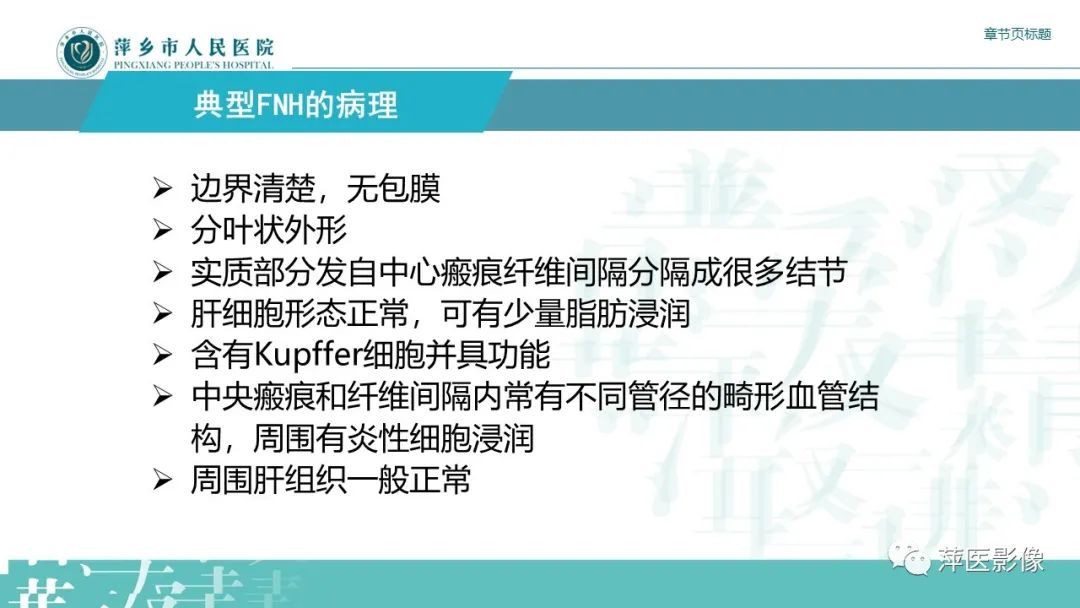 【PPT】肝脏局灶性结节性增生(FNH)-8