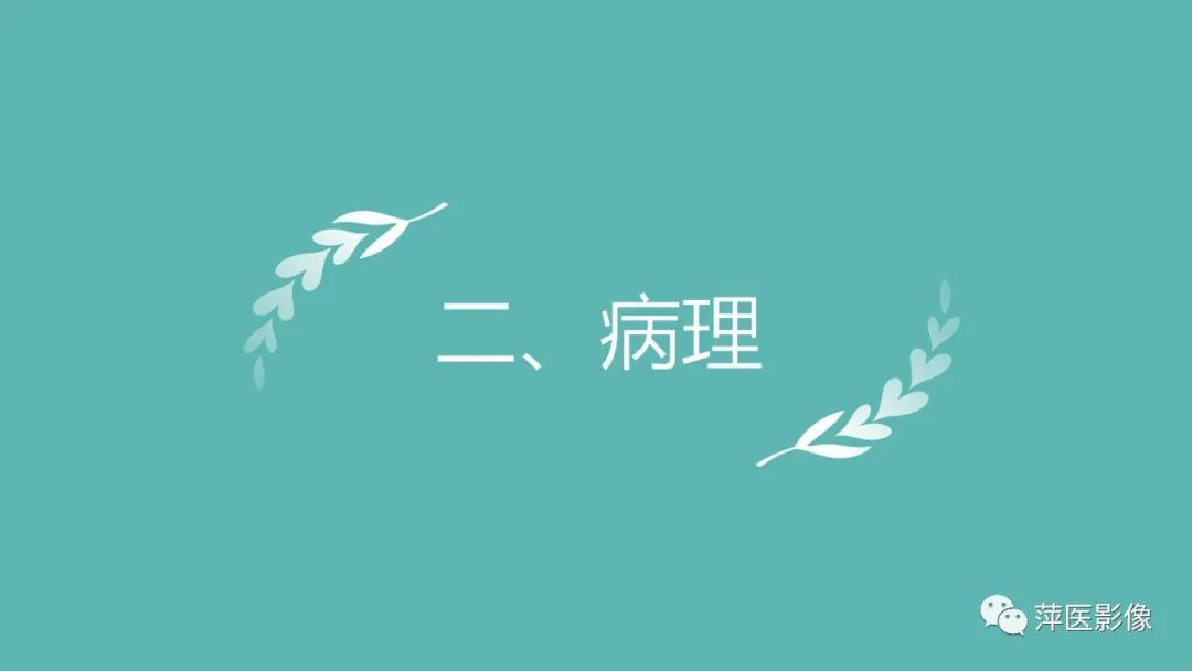 【PPT】肝脏局灶性结节性增生(FNH)-5