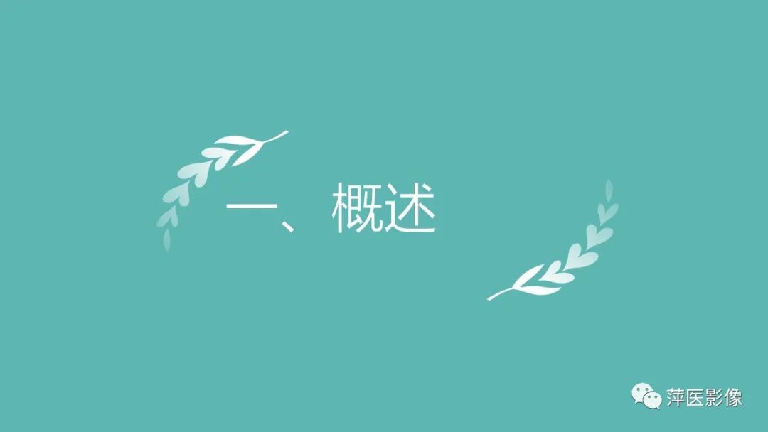 【PPT】肝脏局灶性结节性增生(FNH)-3