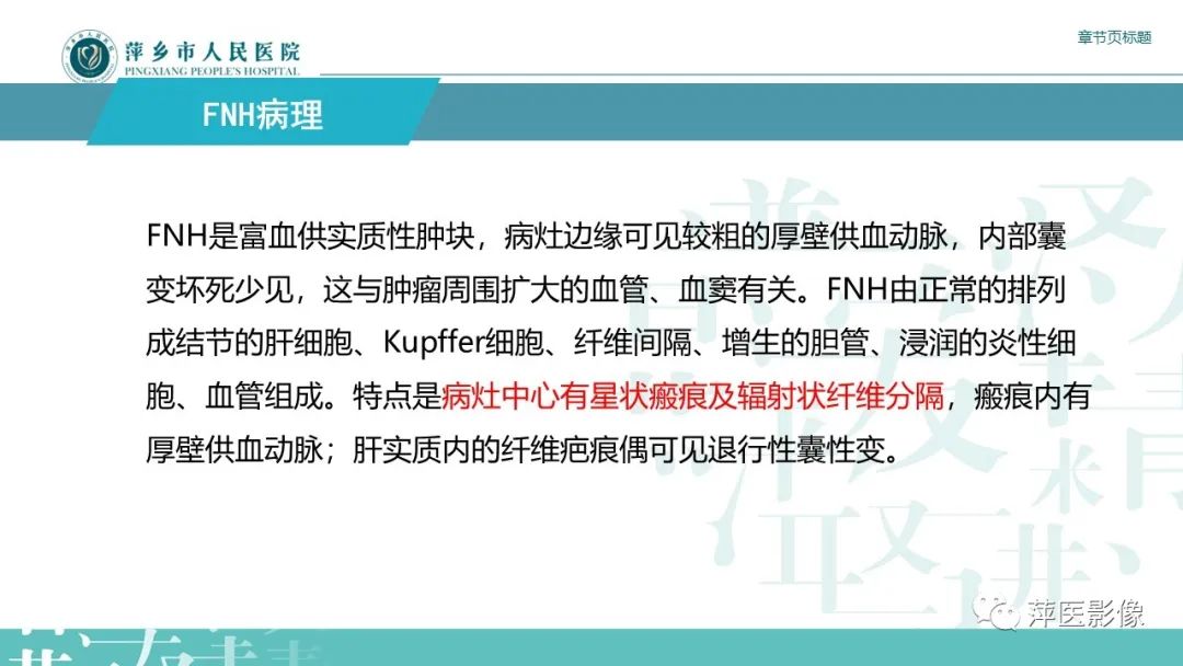 【PPT】肝脏局灶性结节性增生(FNH)-6