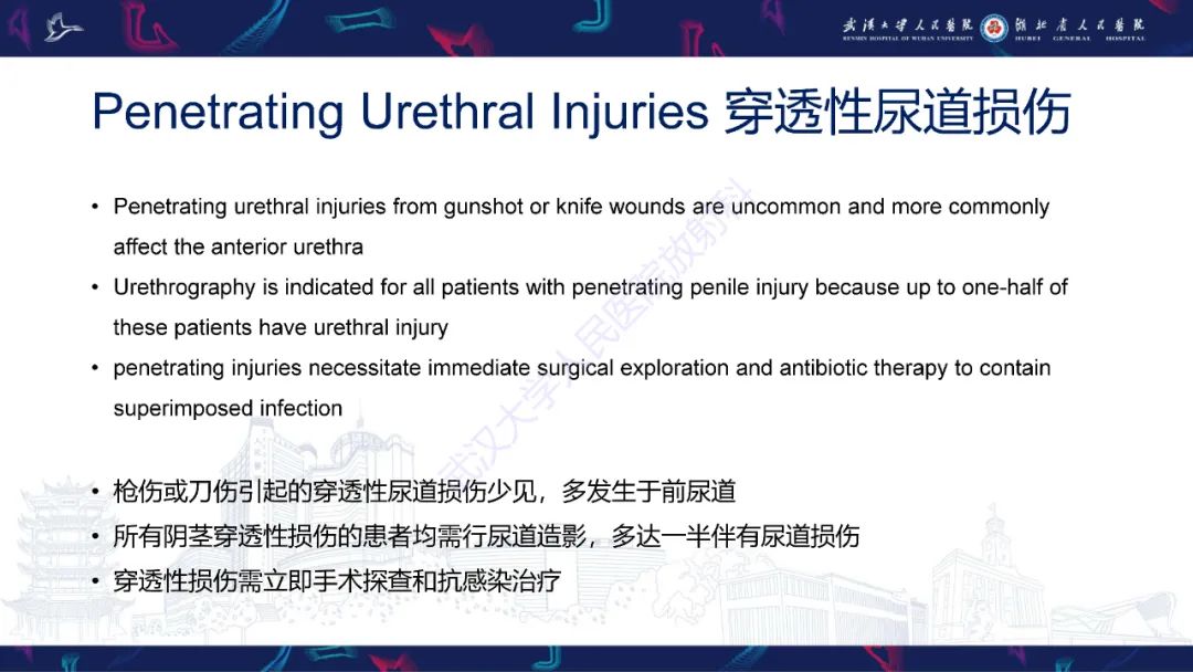 【PPT】尿道造影疾病诊断-33