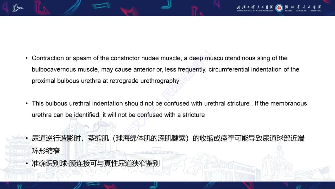 【PPT】尿道造影疾病诊断-10