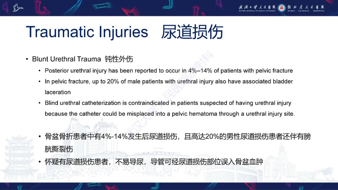 【PPT】尿道造影疾病诊断-17