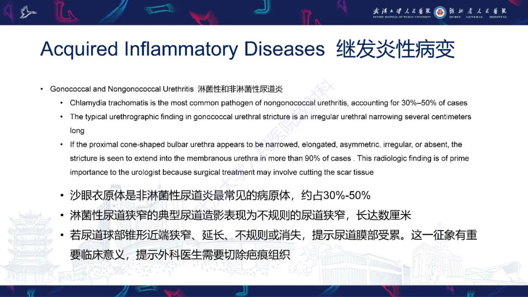 【PPT】尿道造影疾病诊断-42