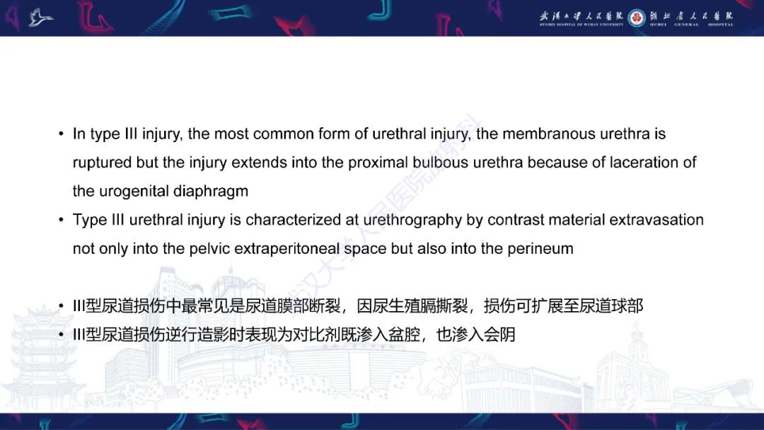 【PPT】尿道造影疾病诊断-22