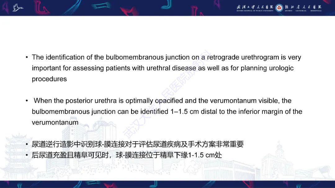 【PPT】尿道造影疾病诊断-9