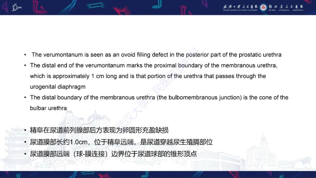 【PPT】尿道造影疾病诊断-8