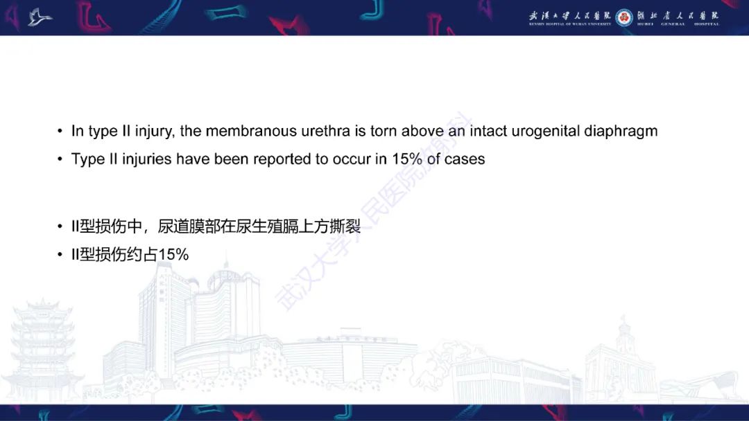【PPT】尿道造影疾病诊断-20