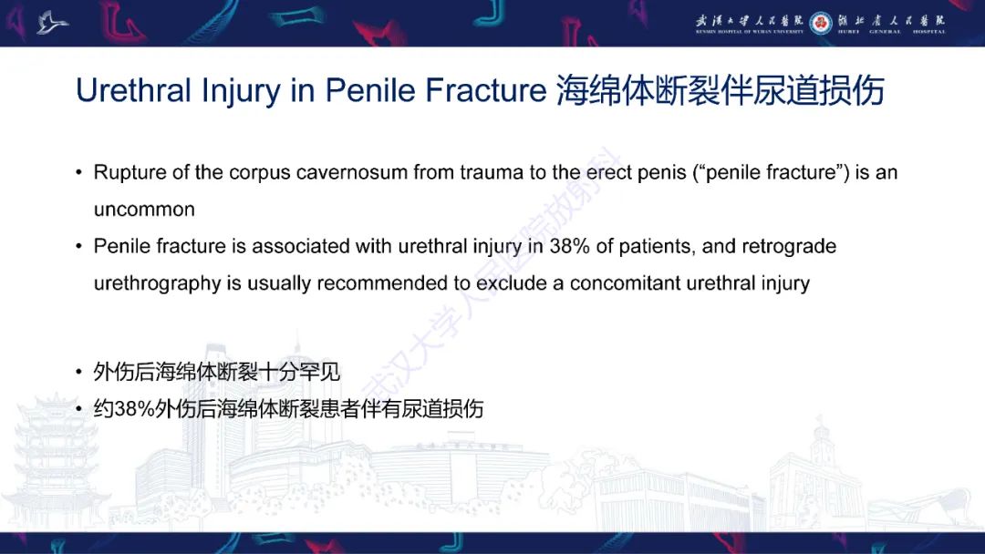 【PPT】尿道造影疾病诊断-36