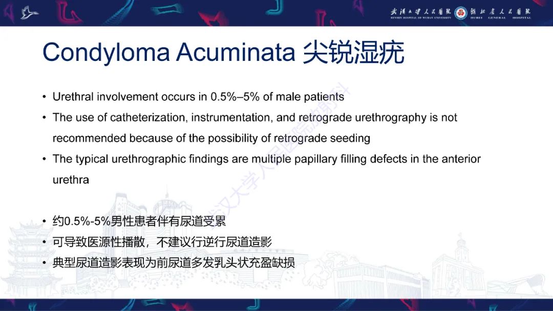 【PPT】尿道造影疾病诊断-47