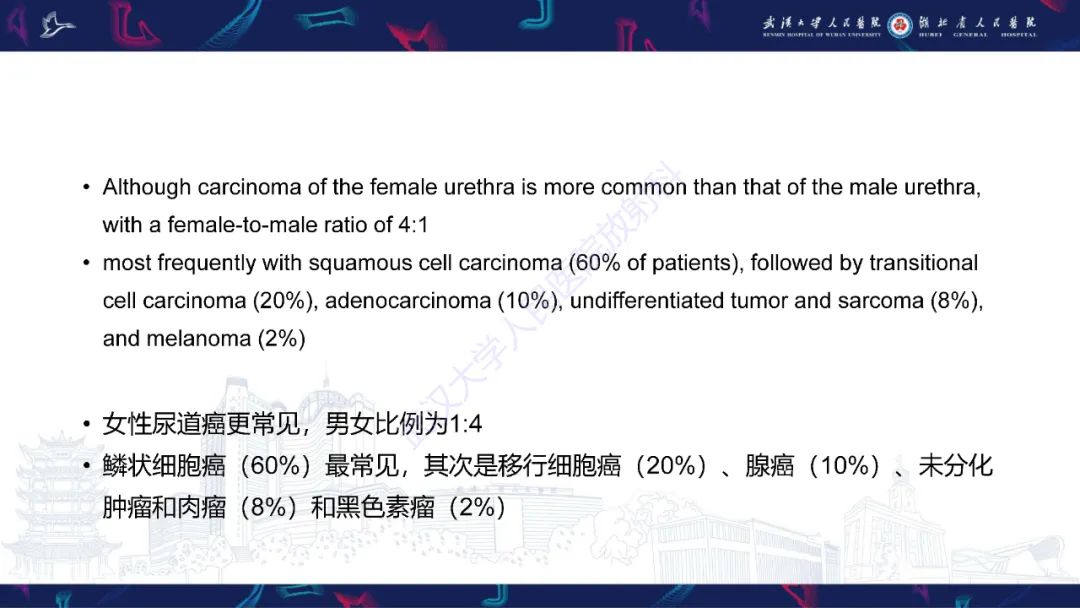 【PPT】尿道造影疾病诊断-56