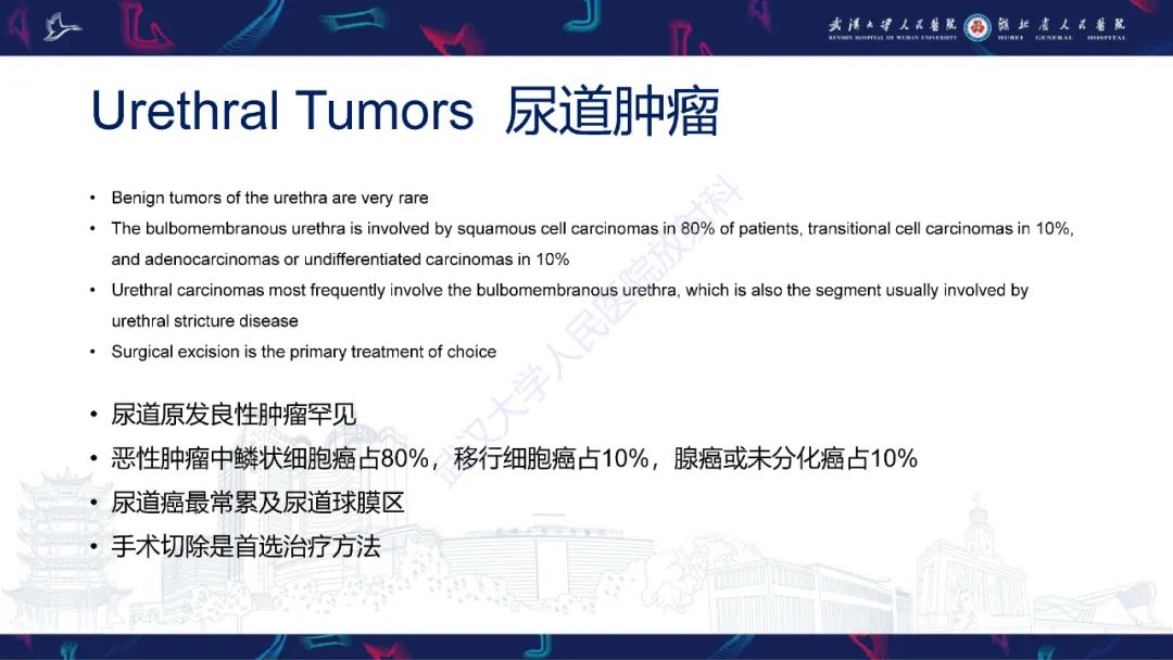 【PPT】尿道造影疾病诊断-52