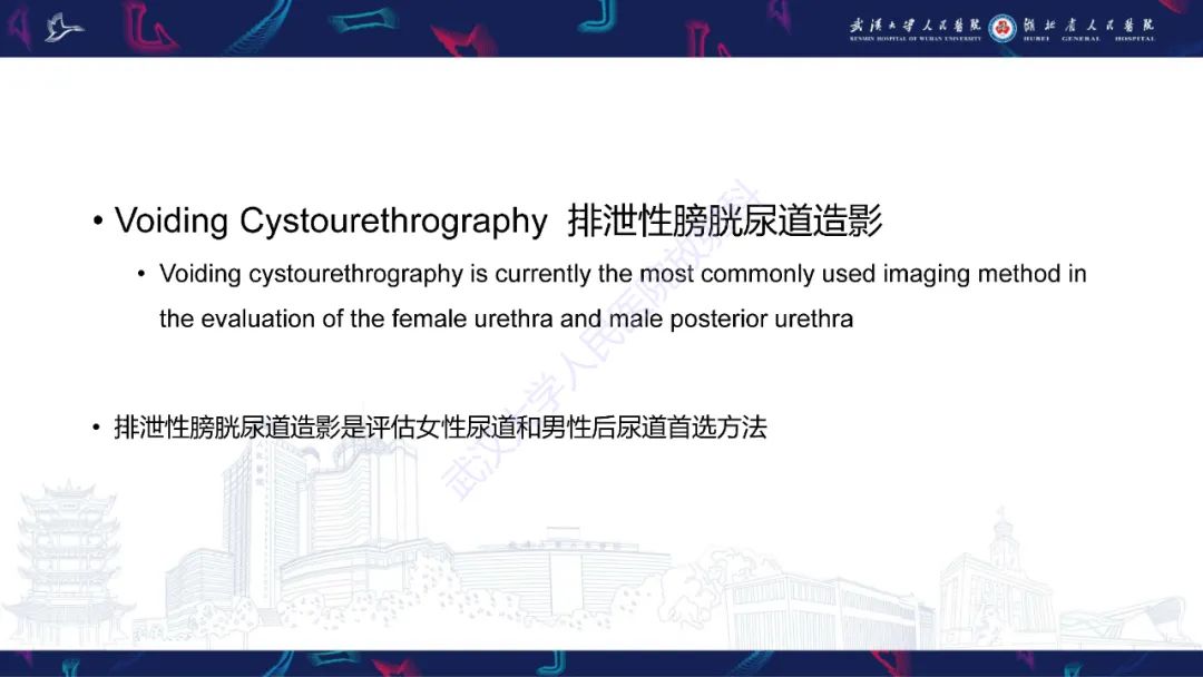 【PPT】尿道造影疾病诊断-15