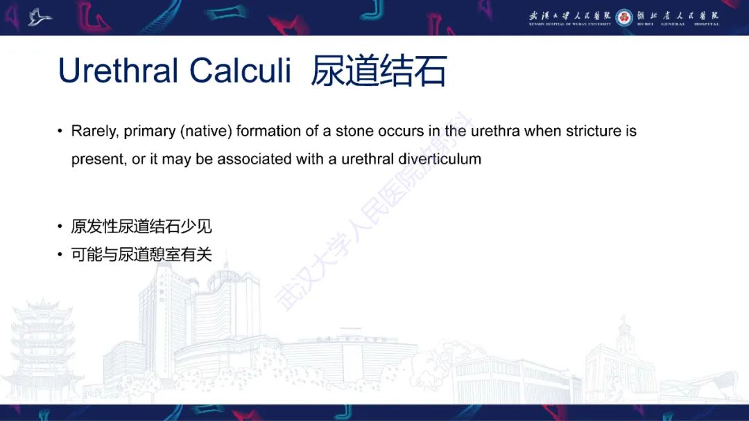 【PPT】尿道造影疾病诊断-49