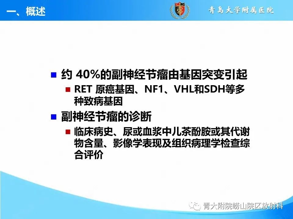 【病例】腹膜后副神经节瘤1例CT影像-14