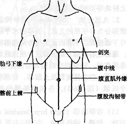 腹部的体表标志及分区 - 百科博览 - 百科博览的博客