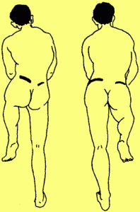 特伦德伦伯格氏试验