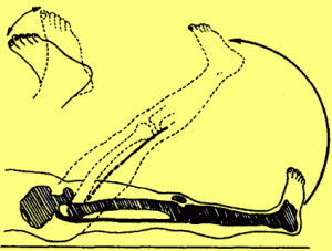 直腿抬高及加强试验