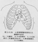 心脏瓣膜听诊区