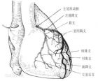 冠状动脉造影
