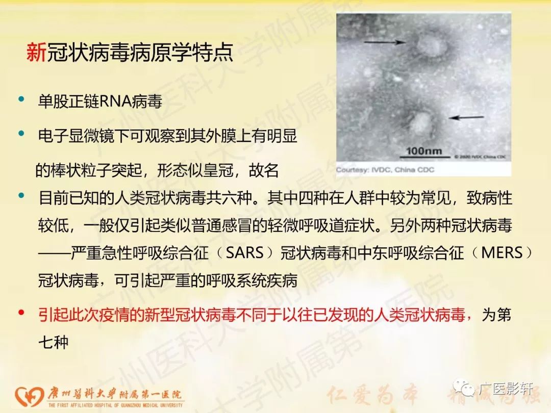 【PPT】新型冠状病毒肺炎影像学特点 【PPT】新型冠状病毒肺炎影像学特点