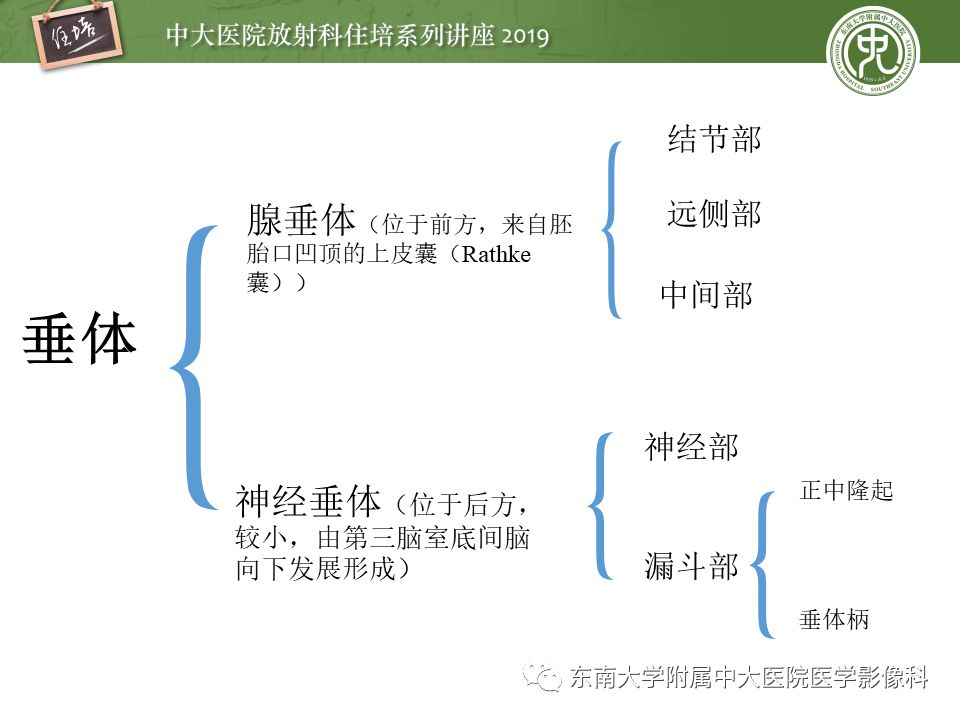 【PPT】垂体正常及常见疾病影像表现
