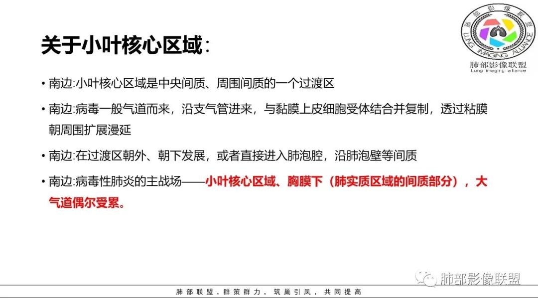 【PPT】病毒肺炎影像机制探讨