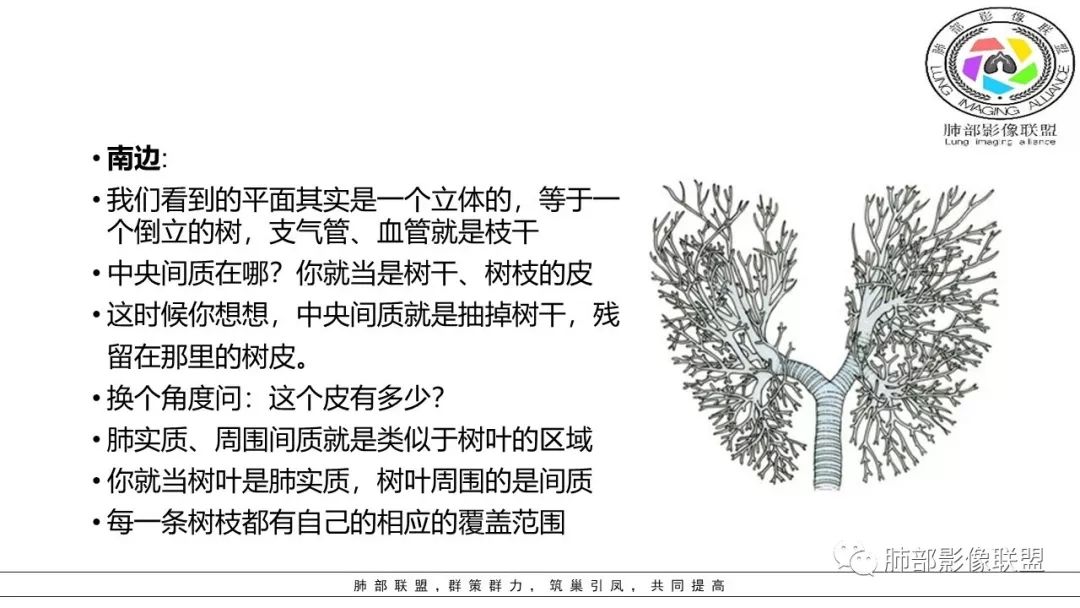 【PPT】病毒肺炎影像机制探讨